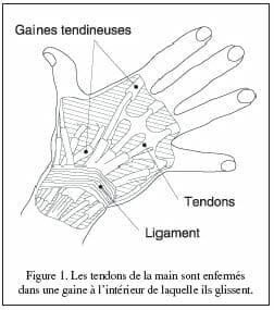 fig1.jpg fig1.jpg