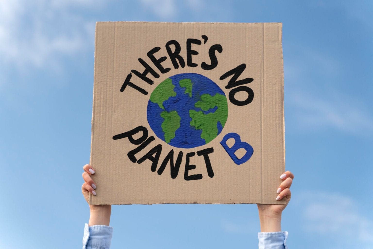 person-protesting-climate-change person-protesting-climate-change