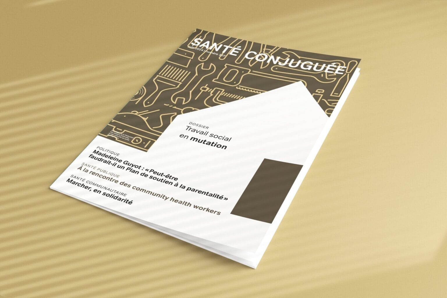 santé conjguée - travail social en mutation - Fédération des maisons médicales